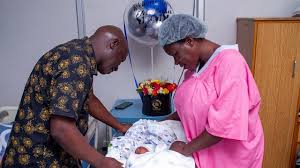 IVF Success Factors