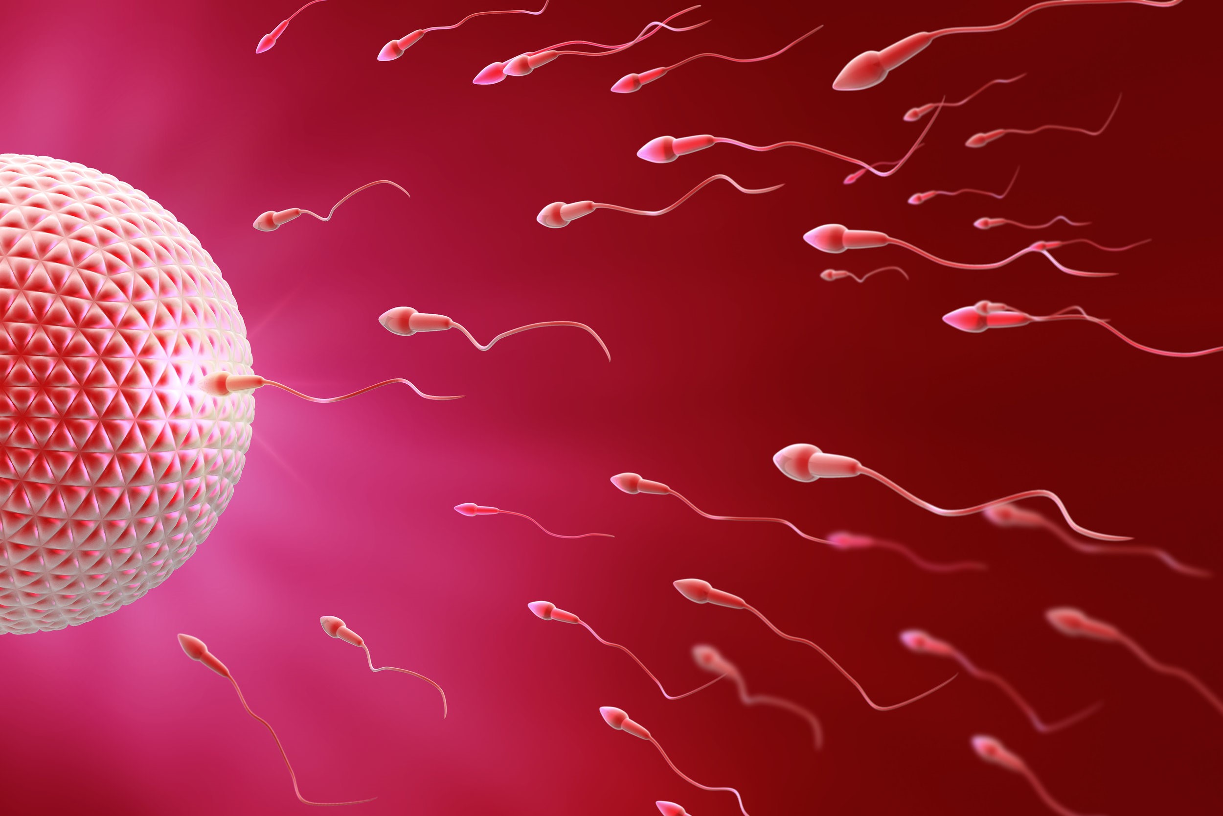 Egg Freezing