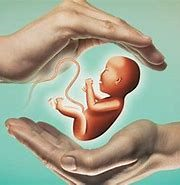 Fertility & Wellness Clinic