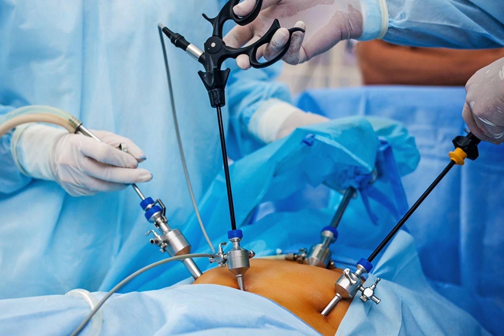 Specialty Programs